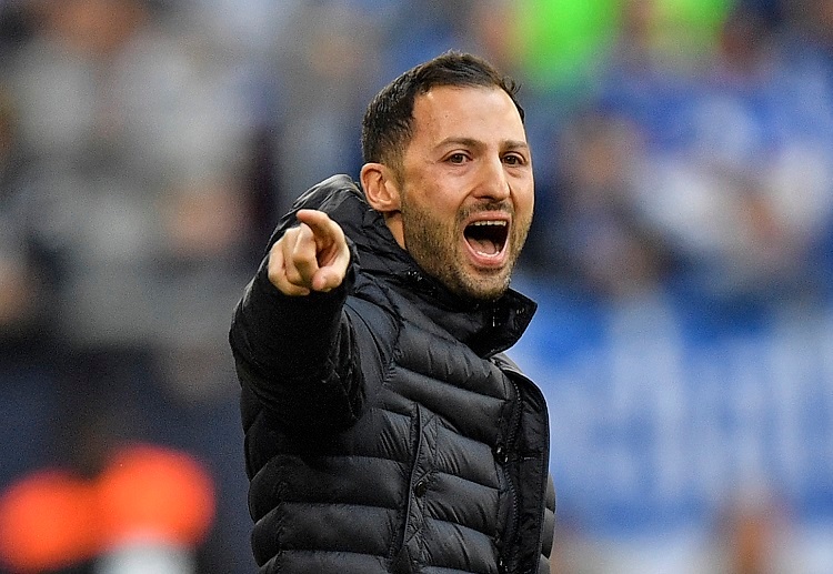 Domenico Tedesco is desperate to lead Schalke 04 to victory when they battle Champions League favourites Man City