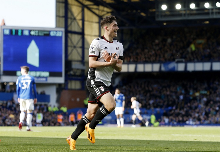 Đây có thể coi là mùa giải tương đối thành công với Fulham khi vừa mới thăng hạng lên Premier League