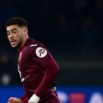 Che Adams had already scored nine goals in the Serie A this season