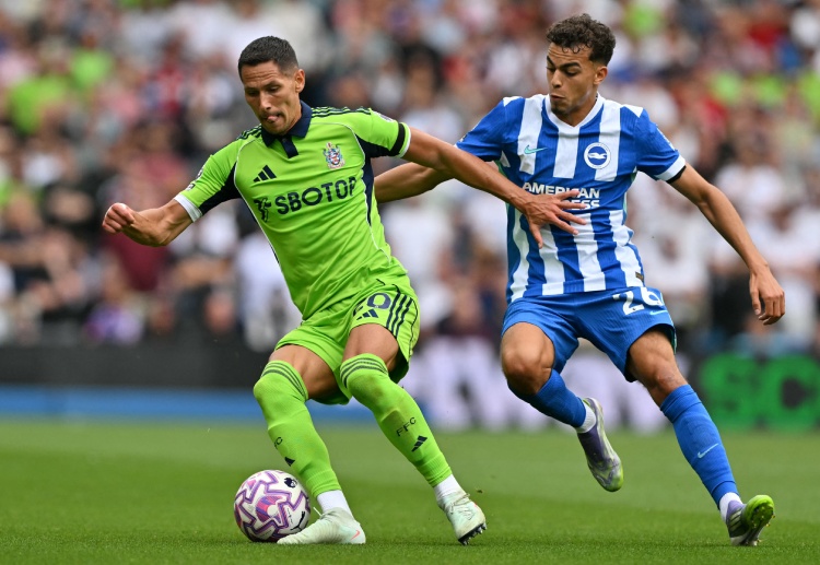 Sasa Lukic is back from suspension to strengthen Fulham ahead of their Premier League meeting with Tottenham