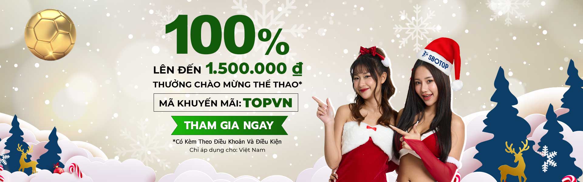 Slider 3 – Dec Xmas VN